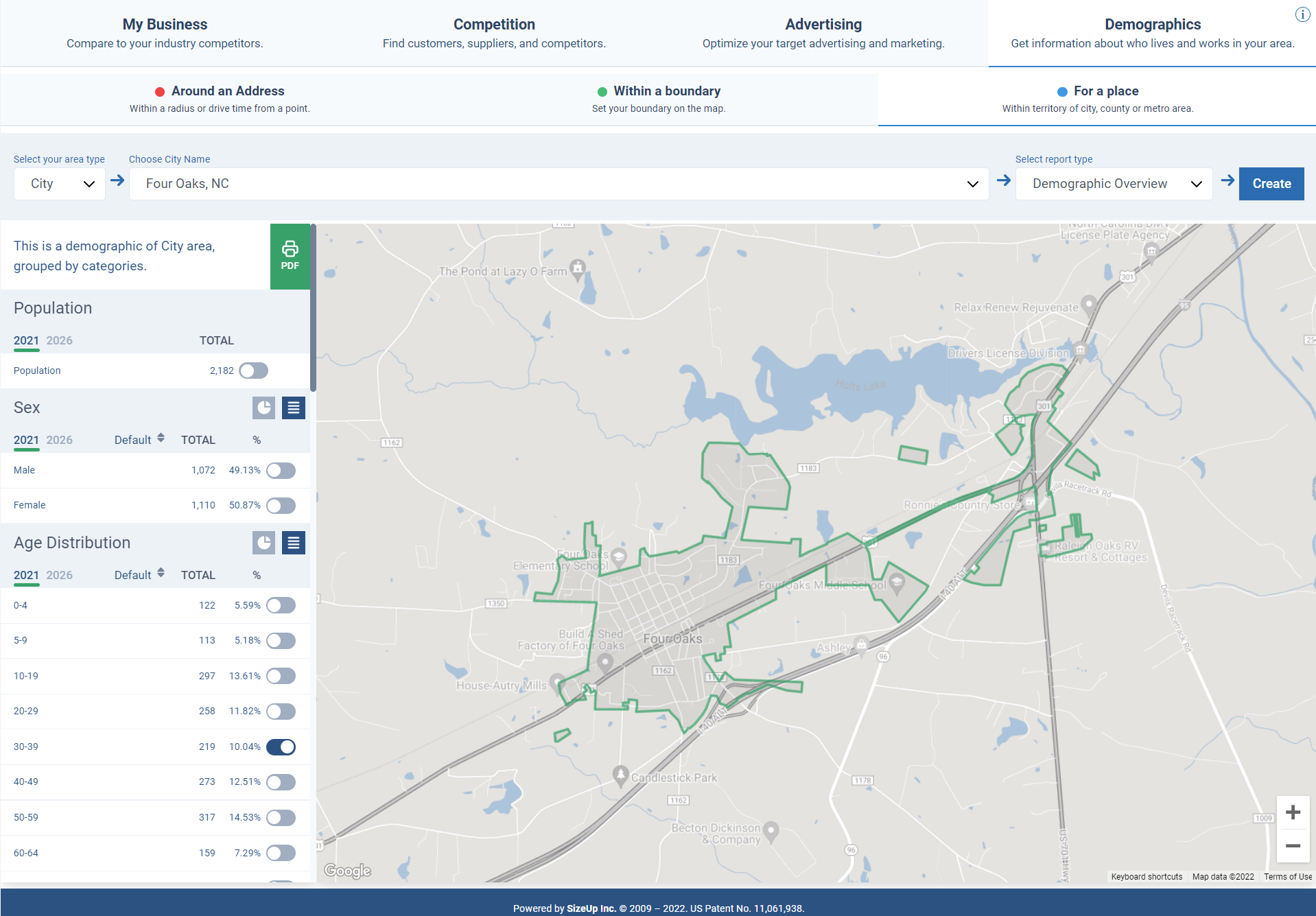 Screen shot showing a preview of Demographics